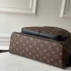Louis Vuitton Discovery Monogram Backpack for Men Brown - Image 4